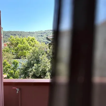 Agave Marina Marciana Marina (Isola d'Elba)