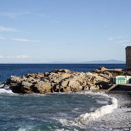 Agave Marina Marciana Marina (Isola d'Elba)
