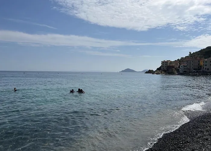 Agave Marina * Marciana Marina (Isola d'Elba)
