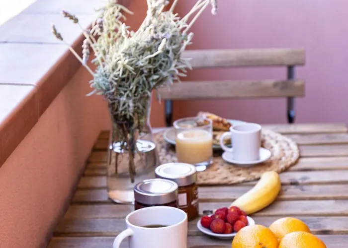 Agave Marina Marciana Marina (Isola d'Elba)