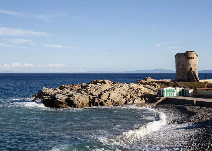 Agave Marina Marciana Marina (Isola d'Elba)