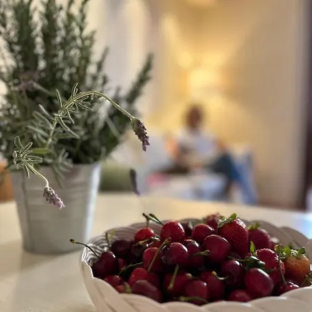 Agave Marina Marciana Marina (Isola d'Elba)