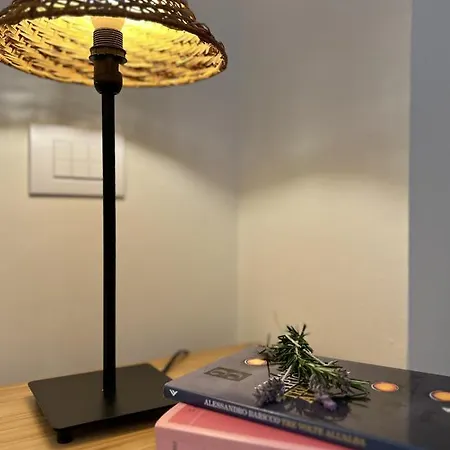 Agave Marina 马西亚娜马里纳