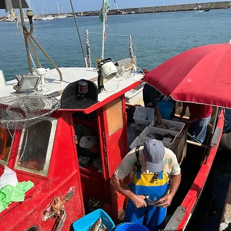 Agave Marina * Marciana Marina (Isola d'Elba)
