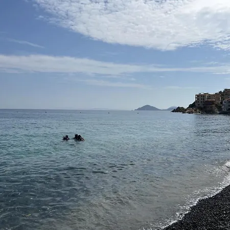 Agave Marina * Marciana Marina (Isola d'Elba)