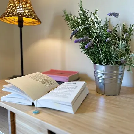 Agave Marina Marciana Marina (Isola d'Elba)