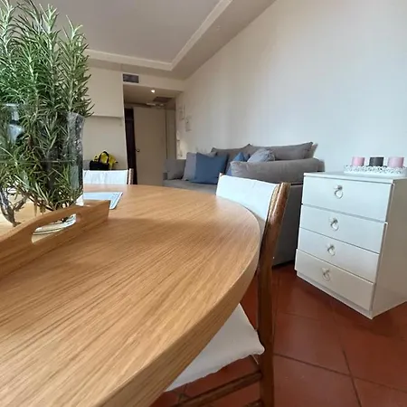 Agave Marina 马西亚娜马里纳