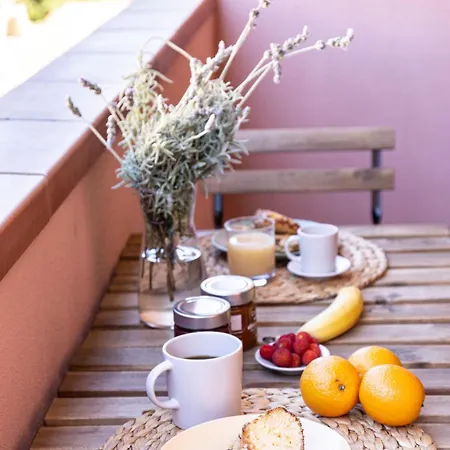 Agave Marina Marciana Marina (Isola d'Elba)