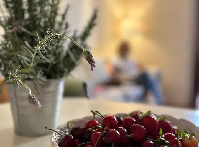 Agave Marina Marciana Marina (Isola d'Elba)