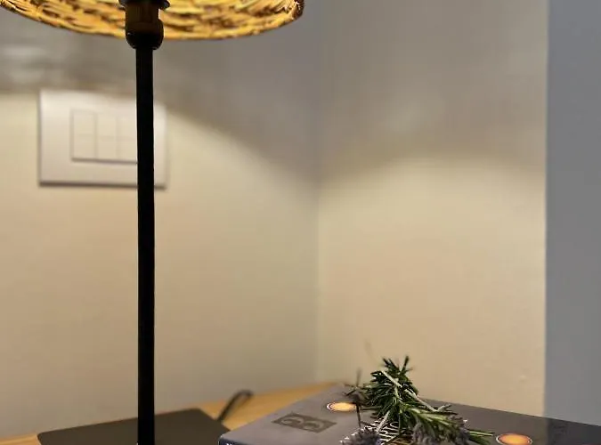 Agave Marina Marciana Marina (Isola d'Elba)