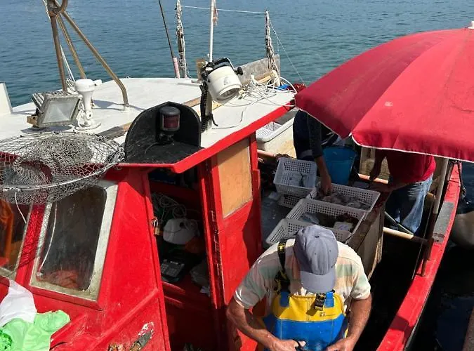 Agave Marina * Marciana Marina (Isola d'Elba)