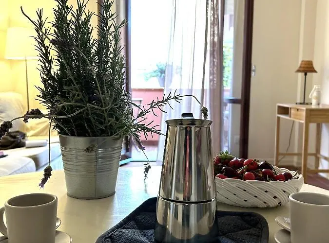 Agave Marina Марчиана-Марина