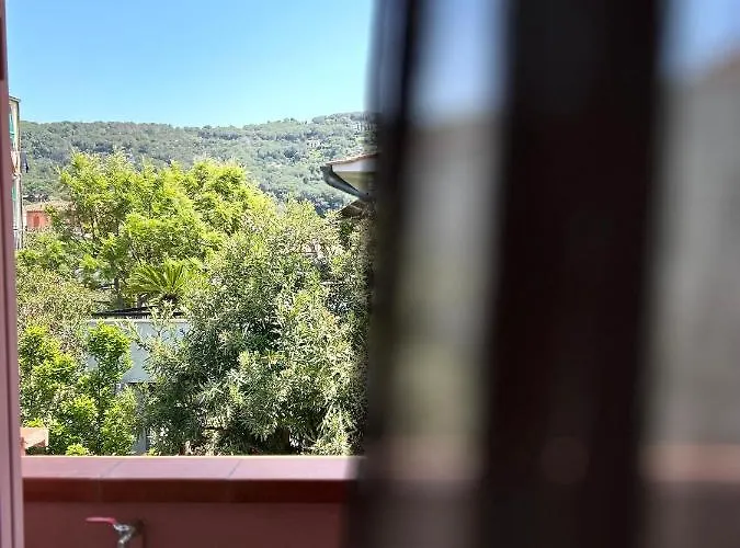 Agave Marina Marciana Marina (Isola d'Elba)